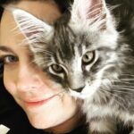 Amy Lee Instagram - Meet our new fur baby, Simon! 😻❤️ We’ve only had him 2 weeks and love him so much already!