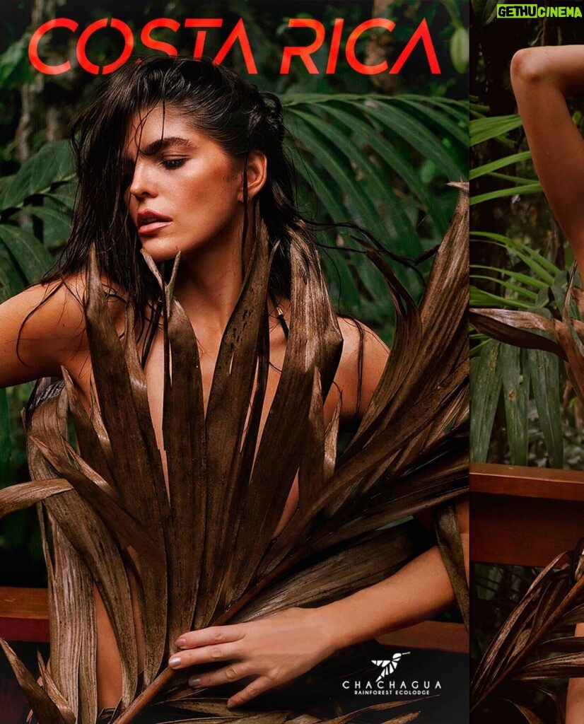 Ana Bárbara Instagram - Y mientras estamos en la promo de #reinagruperatour ❤️‍🔥 aquí les dejo estas #fotos en #costarica🇨🇷 ‼️😚 les gusta mi vestido? 💯% natural 😏😅🥬 📍 @chachaguarainforest 📸 @soyelmolina #photoshoot #naruraleza #anabarbara