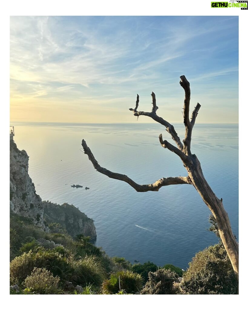 Ana Fernández Instagram - Qué premio de vistas y días! Mallorca 🤍 @innside_by_melia #innsidepalmabosque