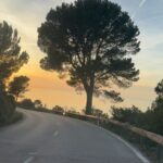 Ana Fernández Instagram – Qué premio de vistas y días! 

Mallorca 🤍 

@innside_by_melia #innsidepalmabosque