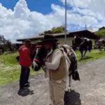 Ana María Polo Instagram - La vida gira a mi alrededor… y Yo quieta en mi momento… #HeDicho #CasoCerrado #AnaMariaPolo