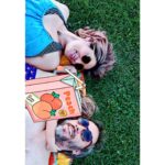 Ana Morgade Instagram - Así va el verano: piscineces, familia contenta, bricomanualidades con papel higiénico, videollamadas para cenar, echar de menos, fiestas cañís y pincha-éssitos de ahora y siempre, piratas de barro, selfies de sofá, pies de bebé. Subo pocas fotos porque ya sabéis que mi bebesito no suele aparecer por aquí y en verano bebesito y yo somos como Andy y Lucas, un solo ente.