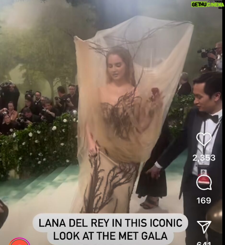 Ana Navarro Instagram - Ok. Don’t anybody tell me anything when I wrap a mosquito net, held up by twigs, around my head in those Miami summers. Just call me iconic.