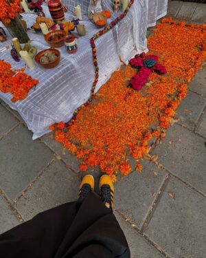 Ana Valeria Becerril Instagram - Me siento como flor de Cempasúchil con mis nuevos Gazelle 💛🧡🎃🌻

@adidasmx 
#creadoconadidas 
#gazelle
