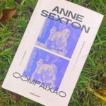 Andréia Horta Instagram - Estou gamada! Todinha só pensando nela. Paixão avassaladora que vira amor que não sai. Que poeta! A palavra vem do fundo da sombra e de dentro da luz. @relicarioedicoes Obrigada @brunabeber_ 🩵🍃👏