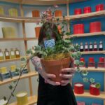 Angelina Danilova Instagram - thank you for having me over to pot my favorite geranium herb @loewe_perfumes first pop up store in Seoul. 🪴🌸✨ #로에베 #로에베퍼퓸