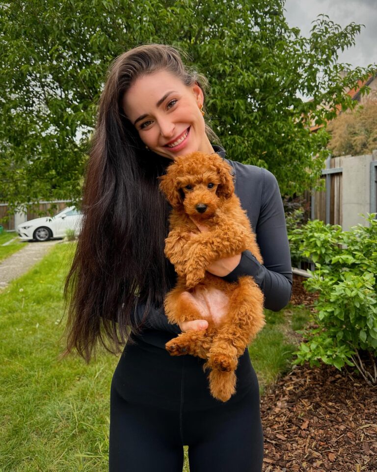 Anna Šulcová Instagram - Už skoro měsíc jsem před vámi něco tajila… Tohle je Theo ♥️🐶 Netušila jsem, kolik lásky a štěstí může tak malý tvoreček do života přinést! Vždy jsem pejsky milovala, ale nevěděla jsem, jaký je pocit starat se o vlastního od úplného dětství! Je to něco nepopsatelného, ale věřím, že mě pejkaři moc dobře chápou! Jsem šťastná, že můžu být psí mamka a věř mi, Teoušku, že tě budu milovat celým svým srdcem a starat se o tebe jak nejlíp budu moct♥️