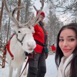 Anna Šulcová Instagram - Nejkrásnější vánoční zážitek!✨🤍🎄Celý výlet vloguju a připravuju si tím zároveň 1. vlogmas 2023 ❣️ btw: Paní nám říkala, že tihle 2 sobíci se prý rádi mazlí a nechávají se hladit, takže jsme měli velkou radost! 🫎