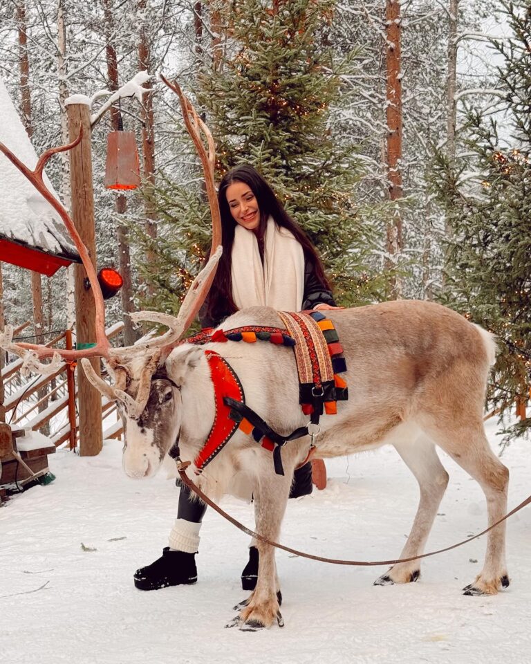 Anna Šulcová Instagram - Nejkrásnější vánoční zážitek!✨🤍🎄Celý výlet vloguju a připravuju si tím zároveň 1. vlogmas 2023 ❣️ btw: Paní nám říkala, že tihle 2 sobíci se prý rádi mazlí a nechávají se hladit, takže jsme měli velkou radost! 🫎