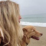 Annabelle Wallis Instagram - Happy Sunday 💗