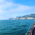 Annabelle Wallis Instagram - Out to sea 🤍