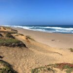 Annabelle Wallis Instagram - Road trip #California