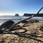 Annabelle Wallis Instagram - California ❤️