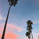 Annabelle Wallis Instagram - Moon