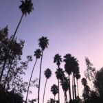 Annabelle Wallis Instagram - Captured after a night shoot. Happy Sunday all of you ❤️❤️❤️