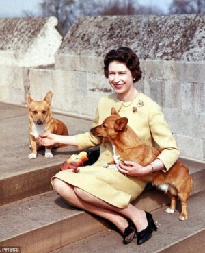 Annabelle Wallis Instagram - “When life seems hard, the courageous do not lie down and accept defeat; instead, they are all the more determined to struggle for a better future”
Queen Elizabeth II

Rest In Peace, Your Majesty.
🤍🤍🤍🤍🤍🤍🤍🤍🤍