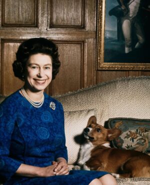 Annabelle Wallis Instagram - “When life seems hard, the courageous do not lie down and accept defeat; instead, they are all the more determined to struggle for a better future”
Queen Elizabeth II

Rest In Peace, Your Majesty.
🤍🤍🤍🤍🤍🤍🤍🤍🤍