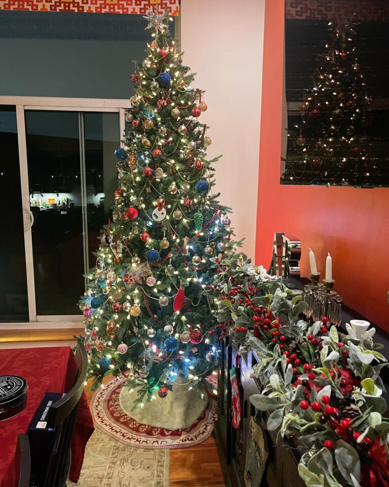 Anne Burrell Instagram - My tree!!!! #theclaxtons #christmas #lovewhatido #luckygirl