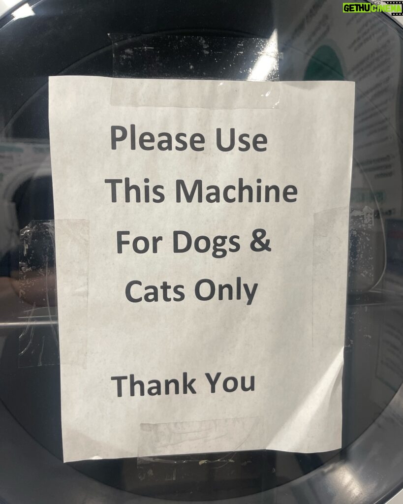 Anne Burrell Instagram - I just noticed this sign in the laundry room in my building… I am going to ask around and see how it went…