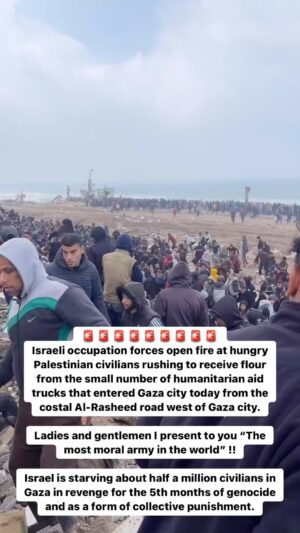 Annie Lennox Instagram - Lost for words..Every day - more horror. ALL we can do is to keep CALLING FOR IMMEDIATE CEASEFIRE!!!! 
KEEP SHARING THE CALL FOR PEACE. STOP THE DELIBERATE DESTRUCTION OF PALESTINIANS.. 
#ceasefire #stopthegenocide