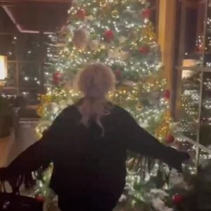 Antonella Clerici Instagram - Pazza x il Natale🎄 #alberodinatale #magiadelnatale #spiritonatalizio #natale
