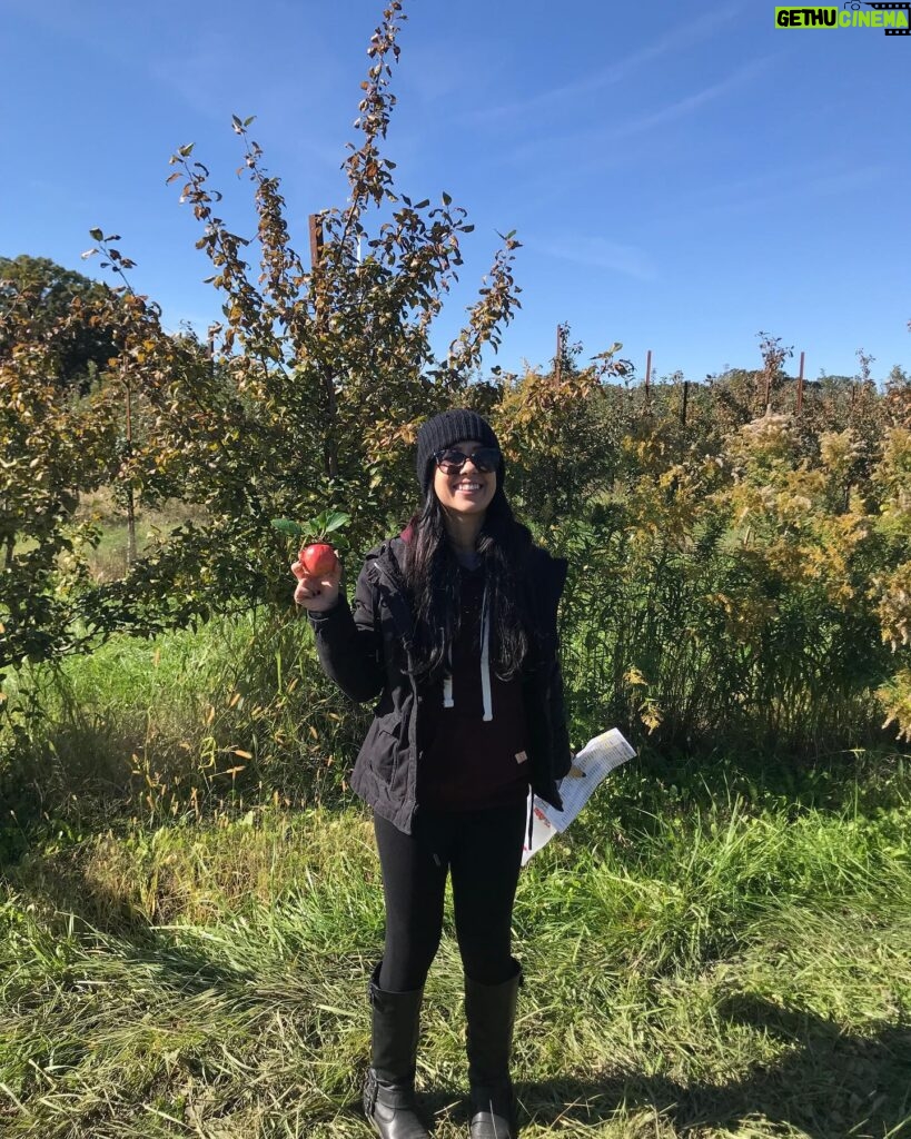 April Jeanette Mendez Instagram - Went apple picking and the only ones I could reach were knee height BUT I PICKED MY FIRST APPLE DAMMIT!