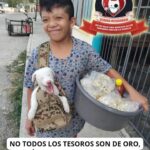 Aracely Arámbula Instagram - Nuestros grandes tesoros ✨🙏✨🫶✨nuestros ÁNGELES DE 4 PATAS 🐾