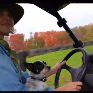 Arielle Kebbel Instagram - She’s my muse 🐴 ok & my little dog too 🐶 

•
🎥 @summa.productions 
 #wildhorses #mustang #stoptheroundups #horserescue 

・・・
- Recently with AK -