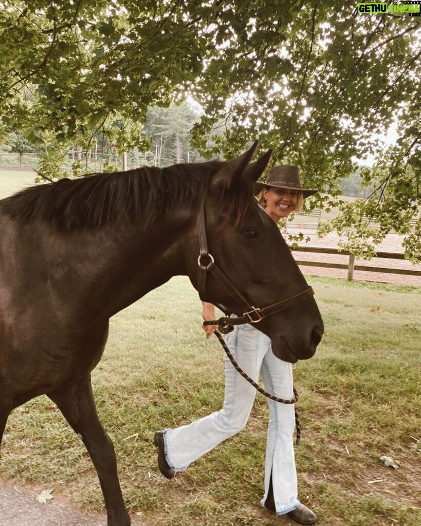 Arielle Kebbel Instagram - A walk on the wild side • #wildmustang #mustangs #mustangmama #wildhorses #rescue #stoptheroundups #wildatheart #mywholeheart #shesmyreminder #staywild #thankyou #skydogsanctuary