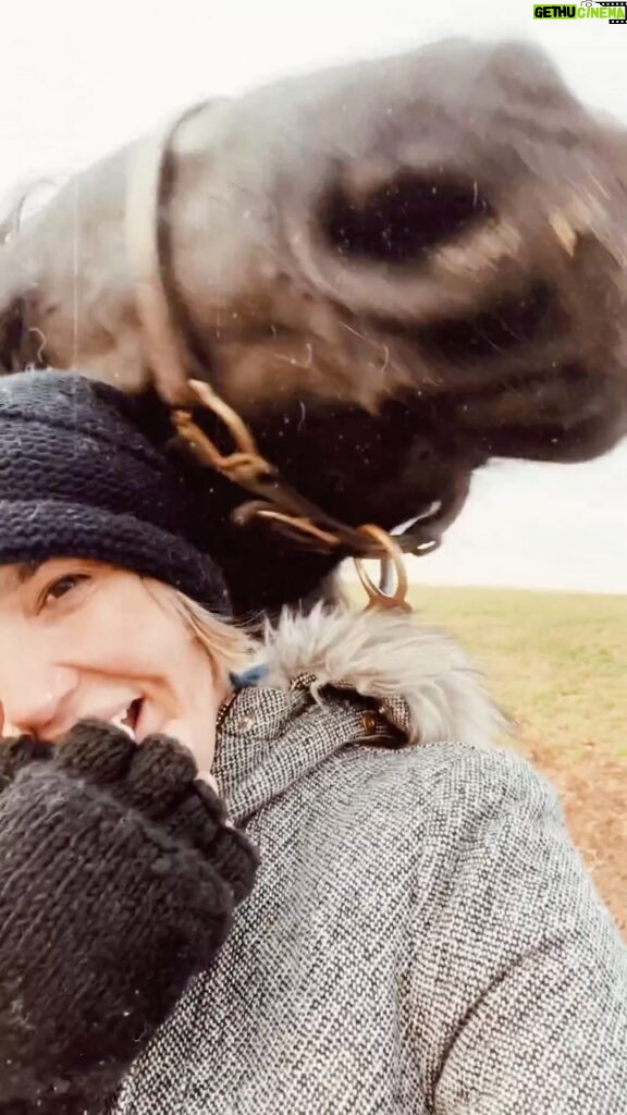 Arielle Kebbel Instagram - allow her to introduce herself ~ meet Snow White. she’s a young mustang rescued a night before slaughter. never in my wildest dreams did i think i would have a wild horse, but she has my whole heart and i can’t wait to share our journey with you all. thank you @skydogsanctuary and Ann Cunningham bad ass women doing bad ass things. happy love day to you all! #happyvalentinesday 💜 🐴 ❤️