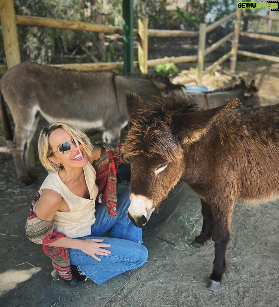 Arielle Kebbel Instagram - thank you for the birthday love! for my bday pls consider donating to @skydogdonkeys 🫏 you all know I love horses and supporting the work @skydogsanctuary does so it’s important to share what’s happening to our donkeys as well. This is Flopsy and her baby fufu ( bang goals ) they were both in a kill pen possibly headed to slaughter. With your help, they were rescued by skydog and now living their best lives. Flopsy is the first donkey I’ve sponsored and I love her. You can sponsor support the donkeys for various amounts each month on skydogs website. had to throw in some pics of the mini donkeys as well! from Hawaii, lots of aloha love to you all and thank you for supporting me and these beautiful animals 🐴 🌺 @skydogdonkeys @skydogsanctuary 📸 @tommeemay #skydog #skydogsanctuary #donkey #wildanimals #rescue #happybirthday #tome