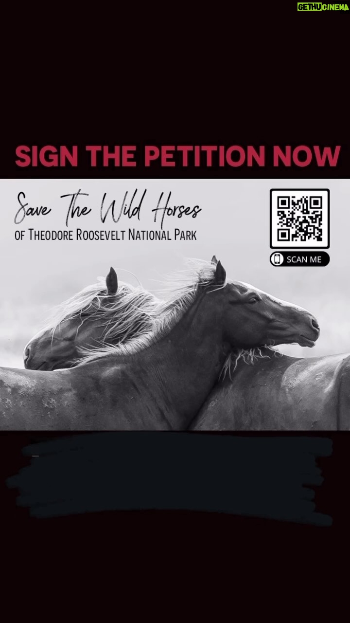 Arielle Kebbel Instagram - Today is the last day ~ We need 100,000k signatures so we can hand deliver to ND politicians to save the wild horses in Theodore National Park. This is a life changing moment for the history of this park and for these wild horses. Pls help keep them wild. Sign and share. Link in bio. #repost @thismustanglife ・・・ Link in bio!