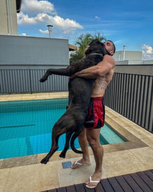 Arthur Picoli Instagram - Alguém quer um bezerro? 😂❤️
