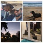 Arun Vijay Instagram - A day out with #Rudhra!!🤗❤️ #petlover #LuvAV #beachlife #dane #unconditionallove