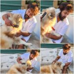 Arun Vijay Instagram - Got some spare time from work today and decided to groom our lil fella SNOW!!🤗 What started like that ended up in us having a fun play time in so long! ❤️❤️❤️ #petlove #mansbestfriend #snow