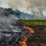 Ashley Johnson Instagram - #Repost from @rainforestalliance The lungs of the Earth are in flames. 🔥 The Brazilian Amazon—home to 1 million Indigenous people and 3 million species—has been burning for more than two weeks straight. There have been 74,000 fires in the Brazilian Amazon since the beginning of this year—a staggering 84% increase over the same period last year (National Institute for Space Research, Brazil). Scientists and conservationists attribute the accelerating deforestation to President Jair Bolsonaro, who issued an open invitation to loggers and farmers to clear the land after taking office in January.⁣ ⁣ The largest rainforest in the world is a critical piece of the global climate solution. Without the Amazon, we cannot keep the Earth’s warming in check. ⁣ ⁣ The Amazon needs more than our prayers. So what can YOU do?⁣ ⁣ ✔ As an emergency response, donate to frontline Amazon groups working to defend the forest. ⁣ ✔ Consider becoming a regular supporter of the Rainforest Alliance’s community forestry initiatives across the world’s most vulnerable tropical forests, including the Amazon; this approach is by far the most effective defense against deforestation and natural forest fires, but it requires deep, long-term collaboration between the communities and the public and private sectors. Link in bio.⁣ ✔ Stay on top of this story and keep sharing posts, tagging news agencies and influencers. ⁣ ✔ Be a conscious consumer, taking care to support companies committed to responsible supply chains.⁣ ✔ When election time comes, VOTE for leaders who understand the urgency of our climate crisis and are willing to take bold action—including strong governance and forward-thinking policy.⁣ ⁣ #RainforestAlliance #SaveTheAmazon #PrayForAmazonia #AmazonRainforest #ActOnClimate #ForestsResist #ClimateCrisis 📸: @mohsinkazmitakespictures / Windy.com
