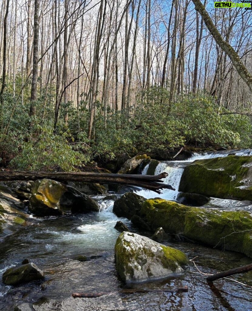 Ashley Judd Instagram - Great Smoky Mountains. Big hikes, sweet strolls, and in the cabin, 18 Chosen Family members trading cooking, chores, filling in a puzzle, playing chess, having a New Years Eve dance party (kiddos with the main moves), hilarious running charades, morning coffee with our readings, quiet conversations in pairs, laughter in groups, and peace all around. It works. We’ve been doing this for many years. Our secret(s) include, at our first meal, everyone shares a memory they would like to make, something they’d be disappointed if they didn’t get to do it, and any group norms they need/would like to ask for (quiet time after 10pm, before 8 am, e.g.). Everyone has full permission to do what they need to do to take care of themself at given moment: a nap, the hot tub, a break....I love these people and their love for me is one of the joys of my life.