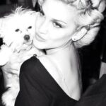 Ashley Roberts Instagram - We had to say good bye to our little Cooper this week. He almost made it to his 16th birthday. He traveled all over with me. Loved getting in his bag knowing an adventure awaited. Let me dress him up in ridiculous outfits. Even had his own episode on a tv show I filmed years back. What a legend. After he got attacked at a park he spent the last few years in AZ with my mom. Where she nurtured him and took such good care of the lil guy. So much joy he brought to so many. Rest in peace lil Coop. Love you buddy. Best buddy in the world 🐾