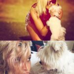 Ashley Roberts Instagram - We had to say good bye to our little Cooper this week. He almost made it to his 16th birthday. He traveled all over with me. Loved getting in his bag knowing an adventure awaited. Let me dress him up in ridiculous outfits. Even had his own episode on a tv show I filmed years back. What a legend. After he got attacked at a park he spent the last few years in AZ with my mom. Where she nurtured him and took such good care of the lil guy. So much joy he brought to so many. Rest in peace lil Coop. Love you buddy. Best buddy in the world 🐾