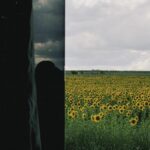 Aslıhan Malbora Instagram - Ayçiçeği diyorlar günebakana bazısı da günebakan diyor ayçiçeğine🌻