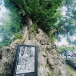 Aslıhan Malbora Instagram -