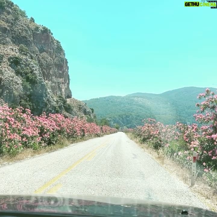 Aslihan Gurbuz Instagram - Bazı HUZUR’lar