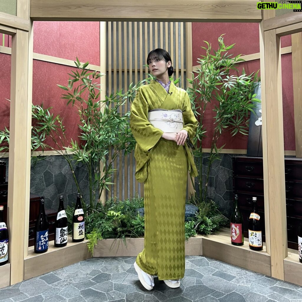 Asuka Kijima Instagram - 収録のたびに、素敵なお着物を着られることが楽しい。 背筋がピンと伸びる思いになります。 船越さんに 板についてきたよ！って言っていただきました😂 #おとなの嗜呑