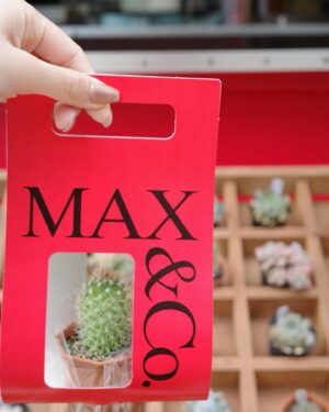 Asuka Kijima Instagram - ‍
MAX＆Co.のイベントへ遊びに行ってきました！
エキゾチックな旅のムードに包まれた空間やアイテムにときめいた〜

ぽてっとしたかわいいサボテンもGETしたよ🌵
（LINEのアンケートに回答すると
その場でもらえるプレゼントみたい！）

私は先週末に行ったのですが
4月13日、14日も代官山T-SITEにて
引き続きイベントを開催するみたいなので、
ぜひ遊びに行ってみてね^ ^

#maxandco 
#CoLLABORATION 
#NOFAKESMILES 
#PR