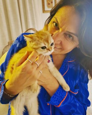 Asuman Dabak Instagram - Yeni yıla Oscar ile girmek 🐾🐾💙🎄