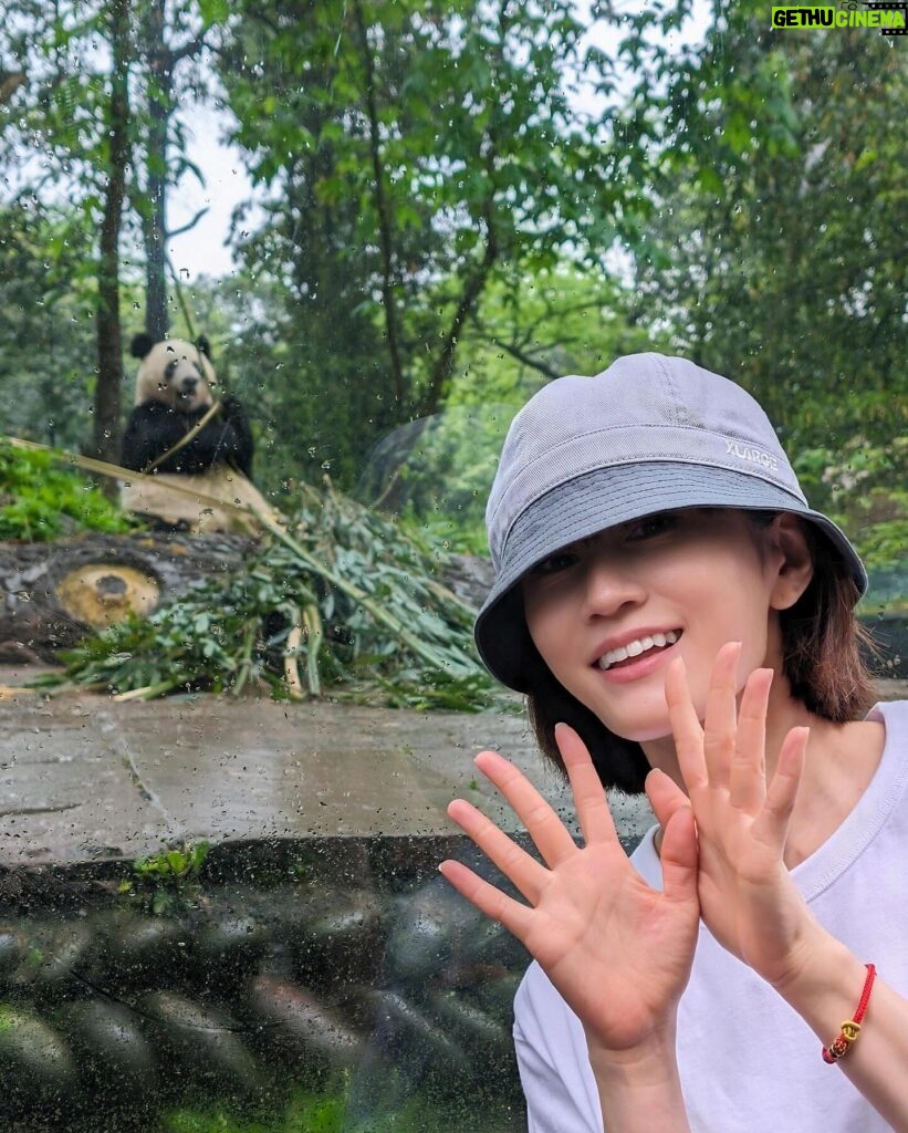 Atsuko Maeda Instagram - . 香香(シャンシャン)プリンセス🐼に中国で会えました♡♡ 食べるとき目瞑りながら食べてたよ可愛いね😭