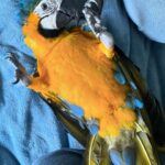 Aubrey Anderson-Emmons Instagram - photo dump but it gets more chaotic twardes the end