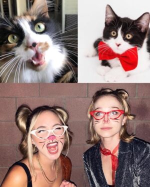 Audrey Whitby Instagram - Dumping like it’s a litter box !

Kitty collage courtesy of @sabinerrutten 😻