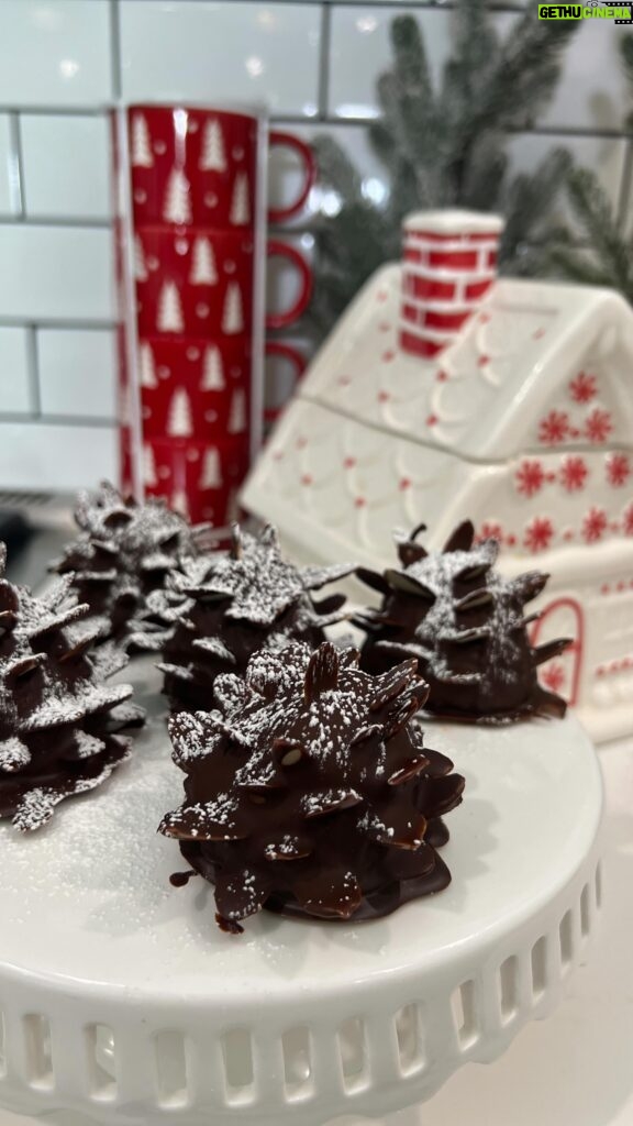 Autumn Calabrese Instagram - The perfect holiday dessert!!! Had to see if I could make these brownie pinecones w/ Fixate avocado brownies. They came out so good and there a healthier option than the box mix. 🎄 GF VG 1⁄2 cup gluten-free all-purpose flour (preferably Bob’s Red Mill® All- Purpose Baking Flour, red label) 1⁄4 cup unsweetened cocoa powder semisweet 2 cups chocolate chips 1 Tbsp. extra-virgin organic coconut oil 1 cup mashed avocado 1⁄2 cup 2 Tbsp. pure maple syrup 2 large eggs 2 tsp. pure vanilla extract 1 dash sea salt (or Himalayan salt) 1. Preheat oven to 400° F. 2. Line a 9 x 12-inch baking dish with parchment paper, allowing it to come up the sides of the dish. Coat with cooking spray. Set aside. 3. Whisk together flour and cocoa powder in a medium mixing bowl. Set aside. 4. Place a double boiler over low heat with water 1-inch deep in bottom. Add chocolate and coconut oil to top of double boiler, stir occasionally until melted. Set aside. 5. Place avocado, maple syrup, eggs, extract, and salt in blender; cover. Blend until smooth. Transfer to a mixing bowl. 6. Stir melted chocolate into avocado mixture. Fold in flour mixture, adding 1⁄3 of mixture at a time, until fully combined. 7. Spread mixture evenly in prepared baking dish. Bake for 13 to 15 minutes, or until firm on top. 8. Allow to cool completely in baking dish Use a small ice cream scoop or spoon to scoop out brownie mixture, roll into pinecones shape. A little more round at the bottom, narrow at the top. Place on parchment paper Stick sliced almonds in starting at the base and working your way up. Place in freezer for 30 min to harden slightly. Melt 1 cup semi sweet chocolate chips with 1 tsp coconut oil. Drizzle over pine come brownie, be sure to get the bottom of the almonds. Place back in freezer for 30 more min to harden chocolate. Dust with powdered sugar.