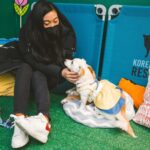 Awkwafina Instagram - Everyone, meet Haeng-Un Lum, new to America and the newest member of my family. I first heard of @koreank9rescue , and their incredible work saving dogs from the meat trade, high-kill shelters and puppy mills in South Korea. Without planning on adopting a pup, I knew that I wanted to support their mission that relies on donations and flight volunteers to keep going. I fell in love with this almost 3-year old nugget, and was truly moved by the care and hard work the organization does to protect these animals. If you would like to support, visit www.koreank9rescue.org and #adoptdontshop . Welcome to the family, Haeng-Un, I love you very much. Photo credit: @imjustinho